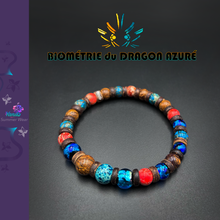 Charger l'image dans la galerie, Biométrie du Dragon Azurée