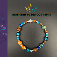 Charger l'image dans la galerie, Biométrie du Dragon Azuré Silver Wave