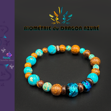 Charger l'image dans la galerie, Biométrie du Dragon Azuré Futatsu