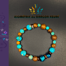 Charger l'image dans la galerie, Biométrie du Dragon Azuré Futatsu