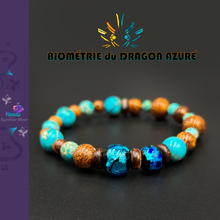 Charger l'image dans la galerie, Biométrie du Dragon Azuré Futatsu