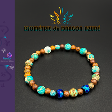 Charger l'image dans la galerie, Biométrie du Dragon Azuré Mini