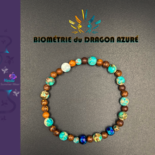 Charger l'image dans la galerie, Biométrie du Dragon Azuré Mini