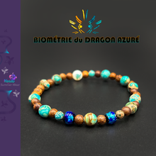 Charger l'image dans la galerie, Biométrie du Dragon Azuré Mini