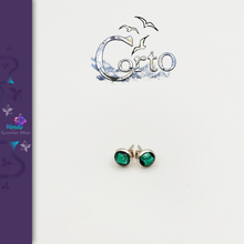 Charger l'image dans la galerie, Puce d'Oreille 'Corto' Mini Yanbaru Green