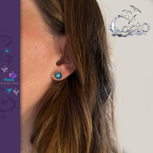 Charger l'image dans la galerie, Puce d'Oreille 'Corto' Motoblue