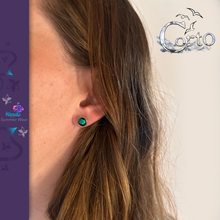 Charger l'image dans la galerie, Puce d'Oreille 'Corto' Yanbaru Green