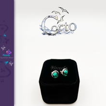 Charger l'image dans la galerie, Puce d'Oreille 'Corto' Yanbaru Green