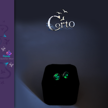 Charger l'image dans la galerie, Puce d'Oreille 'Corto' Yanbaru Green