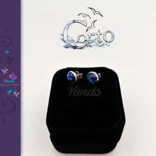 Charger l'image dans la galerie, Puce d'Oreille 'Corto' Grand Bleu