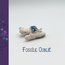 Charger l'image dans la galerie, Fossile Oublié