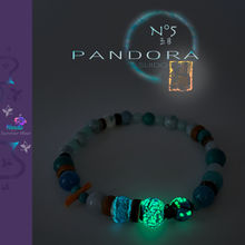 Charger l'image dans la galerie, Pandora Suidō No.5