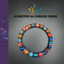 Charger l'image dans la galerie, Biométrie du Dragon Azurée
