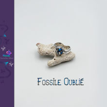 Charger l'image dans la galerie, Fossile Oublié
